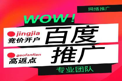 百度推广实战案例：成功之路