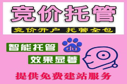 竞价广告ROI提升：代运营公司的实战技巧